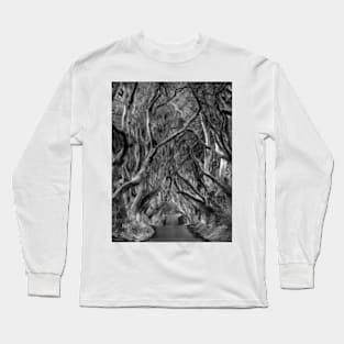 Avenue of trees Long Sleeve T-Shirt